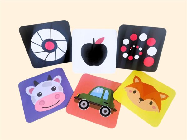 Kit Pequeños Exploradores - Image 3